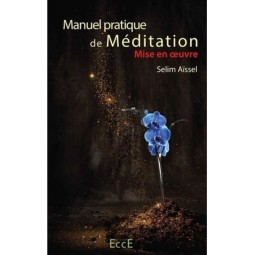 Manuel pratique de méditation - Mise en oeuvre
