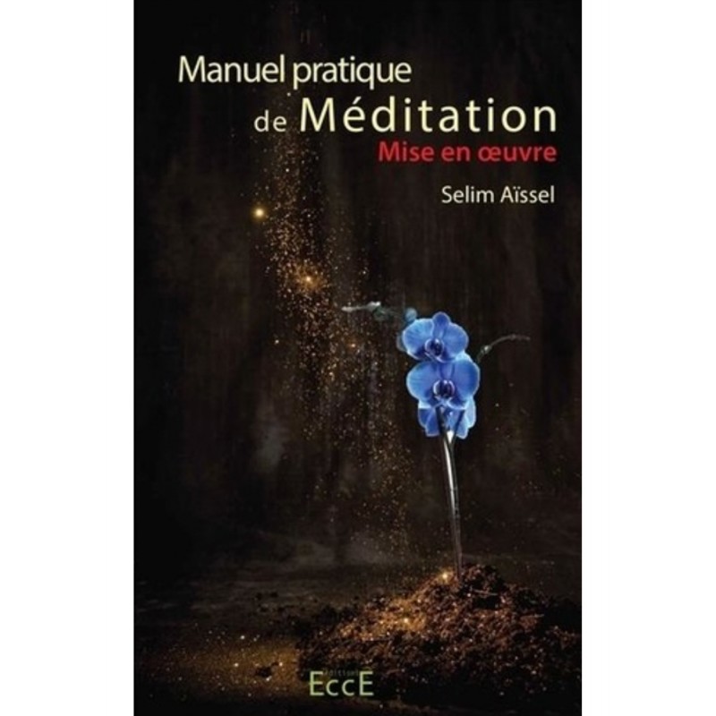 Manuel pratique de méditation - Mise en oeuvre