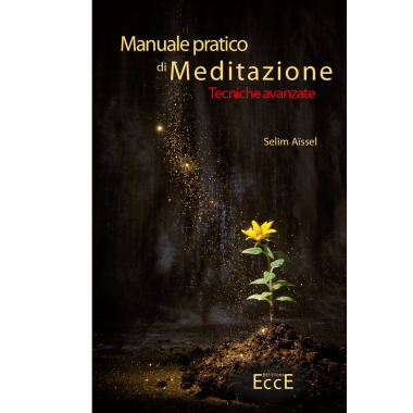 Manuale pratico di Meditazione - Tecniche avanzate