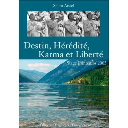 Streaming Destin, hérédité, karma et liberté