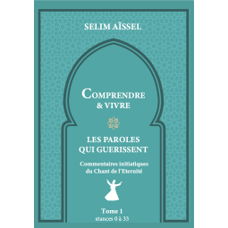 COMPRENDRE & VIVRE LES PAROLES QUI GUERISSENT - Tome 1 - stances de 0 à 33