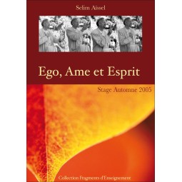 Streaming Ego, Ame et Esprit