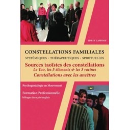 Formation de constellateur - 2008 - 4A : Sources taoïstes des constellations