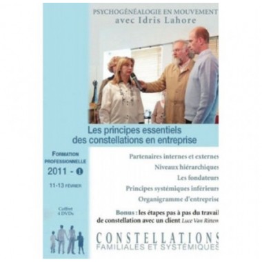 Formation de constellateur - 2011 - Tome 1 : Les principes essentiels des constellations en entreprise