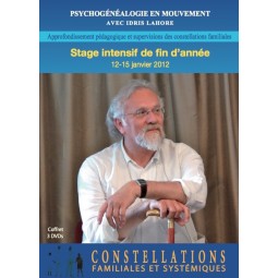 Formation de constellateur - 2012 - stage intensif