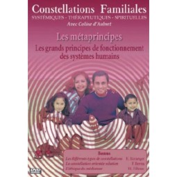 DVD Les métaprincipes