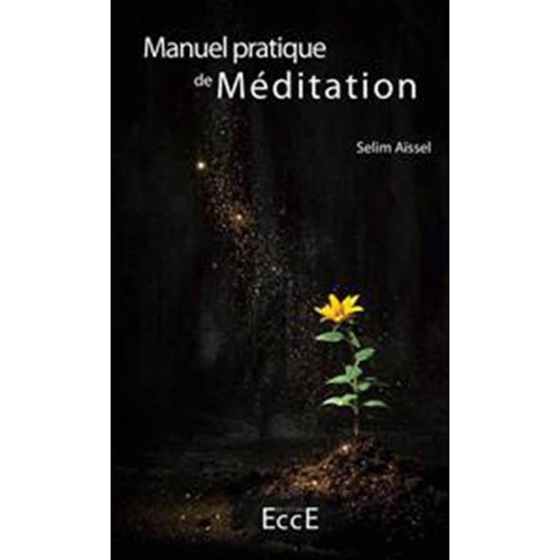 Manuel Pratique de Méditation