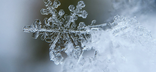 Наши наилучшие пожелания!